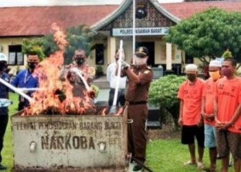 Polres Pasbar Musnahkan 16 Kg Ganja Dan 33,59 gram Sabu- Sabu di Halaman Mapolres