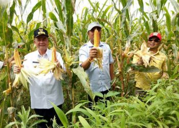 Zonasi Jaga Stabilitas Harga Komoditas
