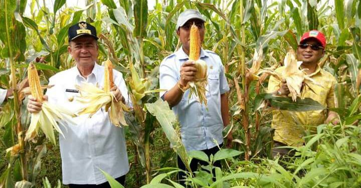 Zonasi Jaga Stabilitas Harga Komoditas
