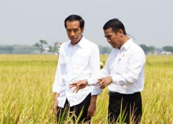 Petani Sumbar Apresiasi Presiden Jokowi Beri Anugerah Bintang Mahaputera Kepada Amran Sulaiman