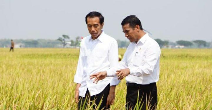Petani Sumbar Apresiasi Presiden Jokowi Beri Anugerah Bintang Mahaputera Kepada Amran Sulaiman