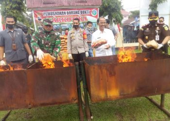 Bupati Pasaman Hadiri Pemusnahan Narkotika Jenis Ganja