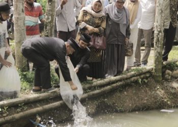 Pasangan Nomor Urut 1 Taslim-Syafrizal Siap Angkat Potensi Besar Palembayan