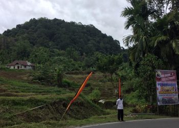Selain Transparan Kelola Dana Desa, 100 Ninik Mamak Pasie Laweh Terlibat Aktif di Pemnag