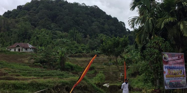 Selain Transparan Kelola Dana Desa, 100 Ninik Mamak Pasie Laweh Terlibat Aktif di Pemnag