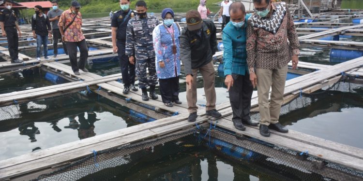 15 Ton Ikan Kerapu Pesisir Selatan Siap Ekspor ke Hongkong