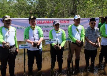 Perencanaan dan Pengelolaan Perlindungan Lingkungan Hidup Jadi Acuan RPJPD