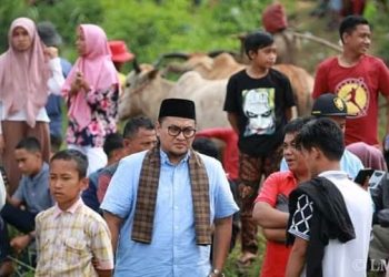 Richi Aprian Jadikan Peternakan Tanah Datar Berskala Prioritas