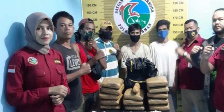 Polres Pasaman Amankan Ganja 13,4 Kg