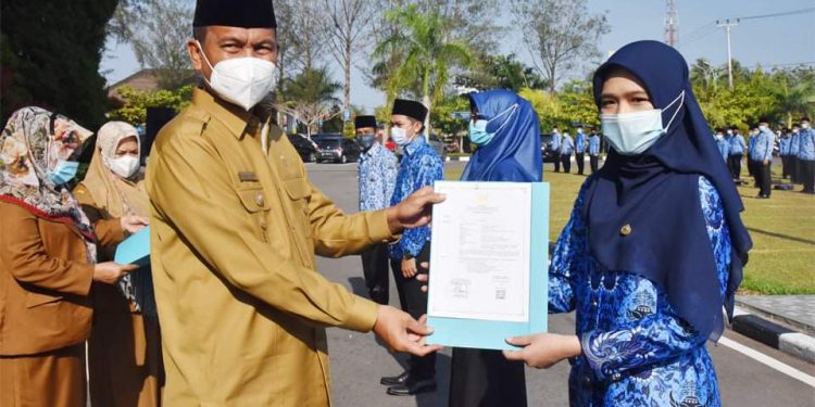 Wali Kota Pariaman Genius Umar Serahkan 264 SK CPNS