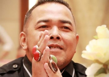 Pidana Informasi Publik