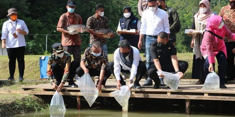 Bersama Menteri KKP, Bupati Lima Puluh Kota Kembangkan Gurami BIMA