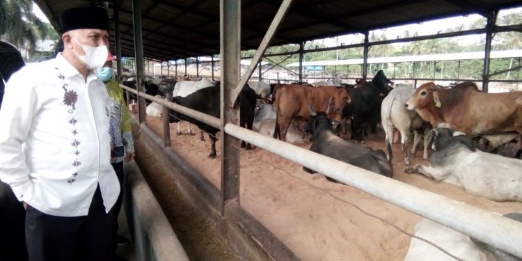 Sumbar Ingin Tingkatan Investasi Semua Potensi Daerah