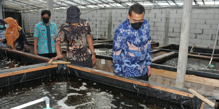 Wagub Sumbar Kunjungi Kampung Sidat