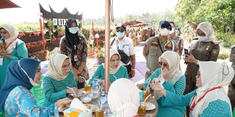 Lubuk Gadang Selatan Dinilai TP-PKK Sumbar