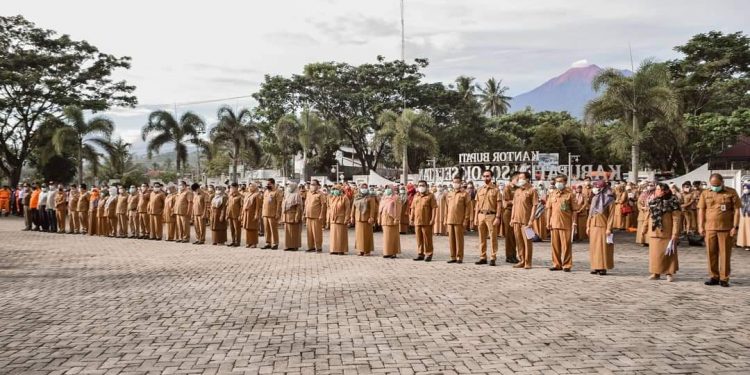 Wabup Yulian Efi : Kita Lakukan Penataan di Berbagai Bidang