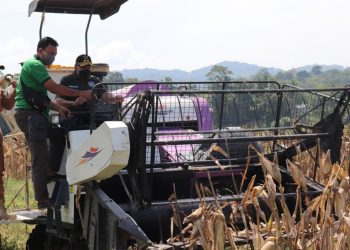 Pemprov Sumbar Dukung Pembukaan Lahan Pertanian Baru di Sijunjung