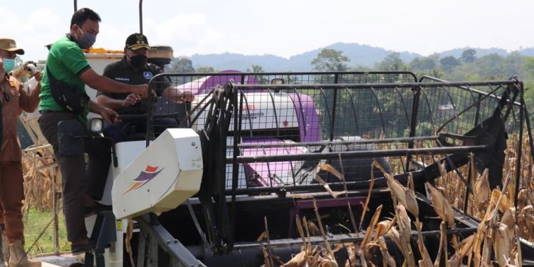 Pemprov Sumbar Dukung Pembukaan Lahan Pertanian Baru di Sijunjung