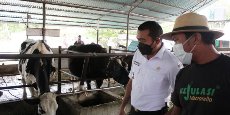 Wagub Sumbar : Usaha Peternakan dan Wisata Edukasi Saling Menunjang