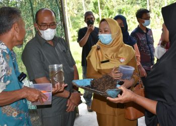 Terobosan Baru, Ketua DPRD Sumbar Supardi Dukung Pemanfaatan Ulat Manggot