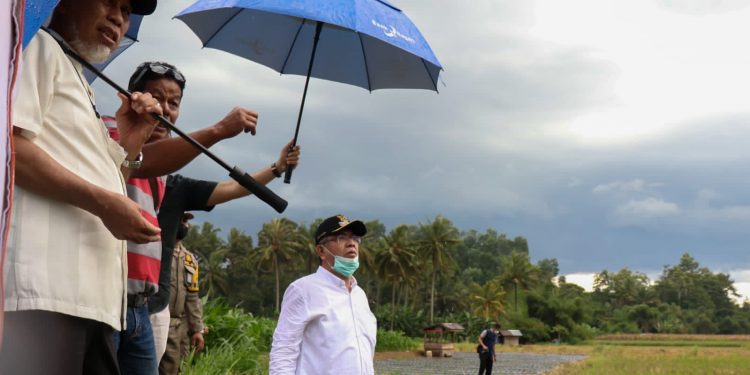 Serius, Anggaran 10 Persen dari APBD Sumbar di Pertanian