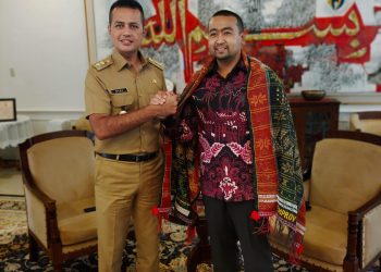 Perkuat Sinergitas Antar Daerah Tetangga, Wagub Audy Kunjungi Sumut