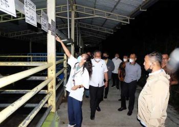 Sukseskan Progul Suka Sapi, Bupati Khairunas Ingin Terapkan Pola Balai Embrio Ternak