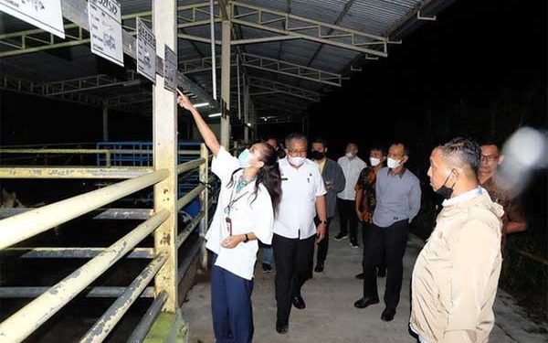 Sukseskan Progul Suka Sapi, Bupati Khairunas Ingin Terapkan Pola Balai Embrio Ternak
