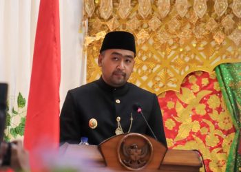 Wagub Audy : Inovatif, Responsif dan Pelibatan Perantau Kunci Pembangunan Daerah