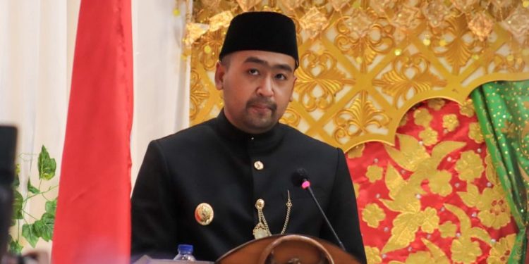 Wagub Audy : Inovatif, Responsif dan Pelibatan Perantau Kunci Pembangunan Daerah