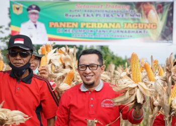 Prospek Bagus, Bupati Eka Putra Ajak Masyarakat Tanam Jagung