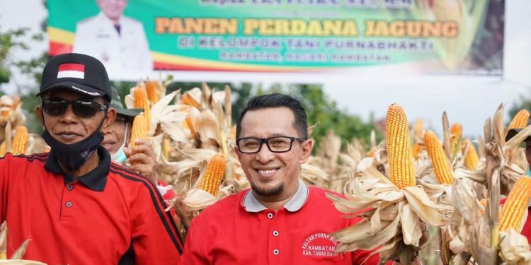 Prospek Bagus, Bupati Eka Putra Ajak Masyarakat Tanam Jagung