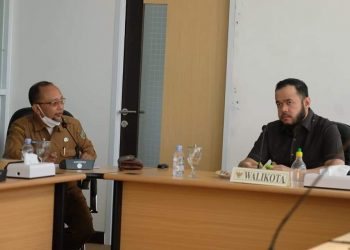DPMPTSP Jajaki Program Kuliah ke Jerman untuk Para Pemuda