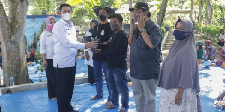 BPDAS Indragiri Rokan Bantu Bibit Produktif kepada Masyarakat Sawahlunto