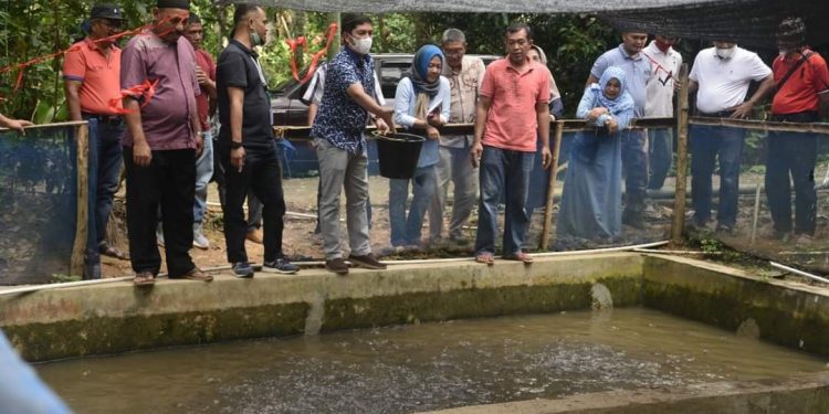 Pemko Sawahlunto Bantu Pelatihan dan Studi Banding Untuk Peternak Ayam dan Budidaya Ikan