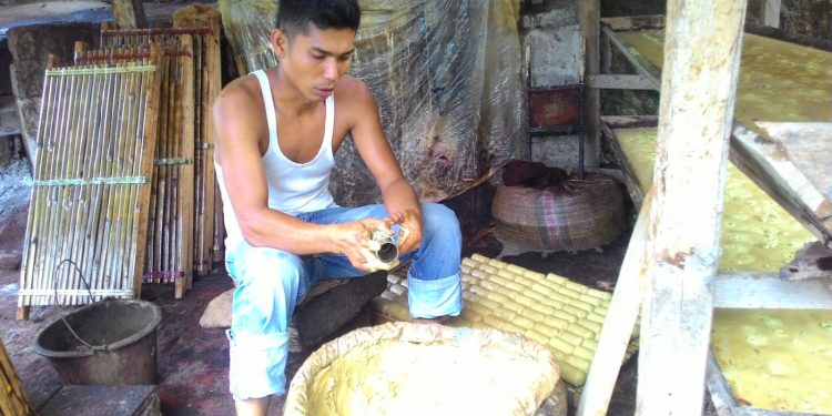 Gambir Naik Jadi Rp 27 Ribu/Kg