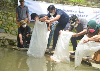 Bibit Ikan 45 Ribu Ekor Ditabur di Sawahlunto