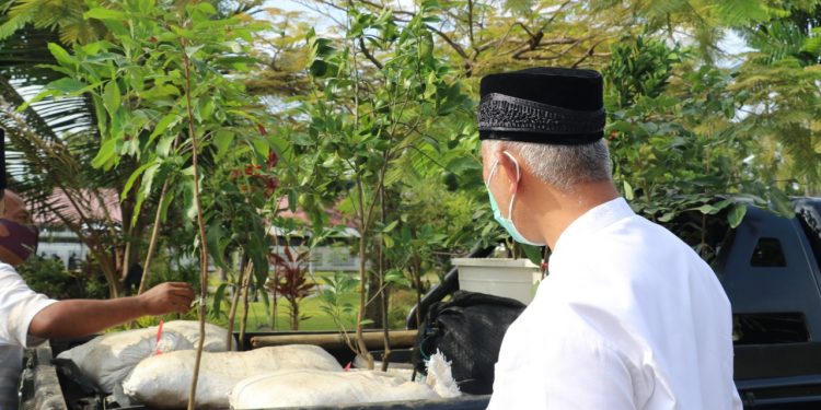 Gubsum Mahyeldi Apresiasi Sejuta Bibit Buah untuk Kemakmuran Masjid