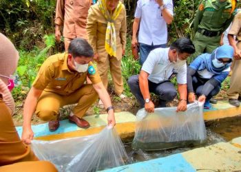 PTBA Ombilin Beri Bantuan Bibit Ikan Nila