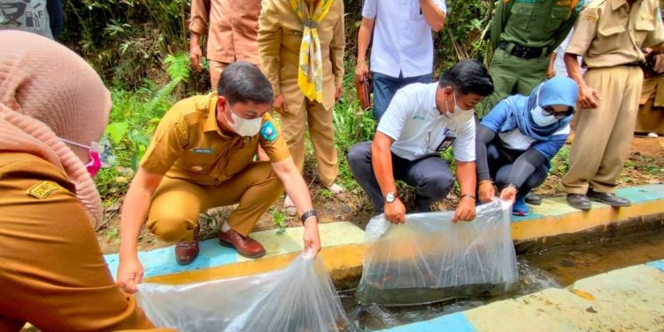 PTBA Ombilin Beri Bantuan Bibit Ikan Nila