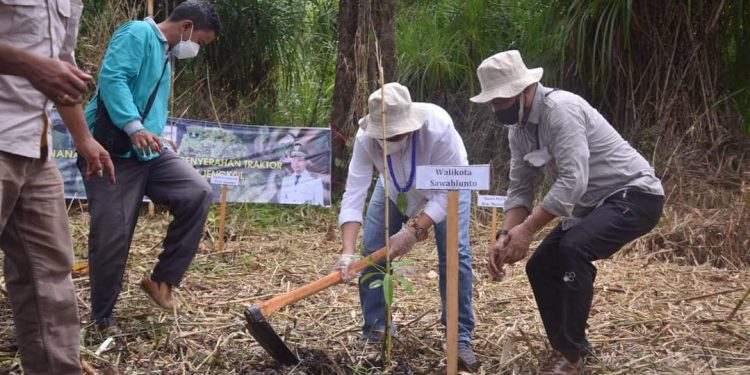 Wali Kota Sawahlunto Tanam Bibit Mangrove di Pantai Goiso Oinan Sipora Selatan