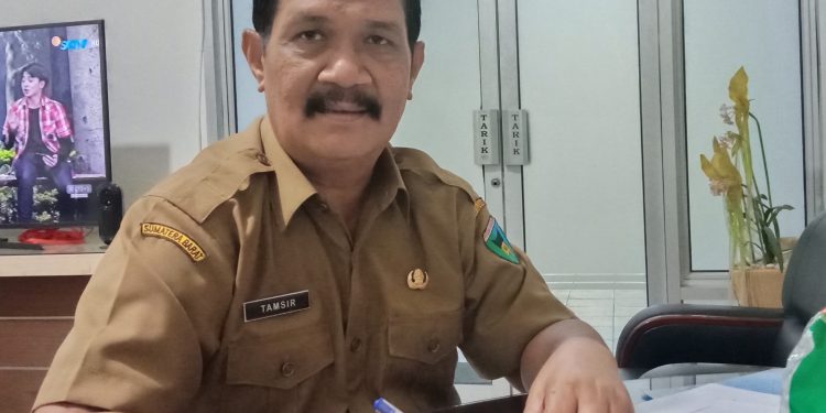 Pemkab Pessel Usul 227 PPPK di KemenPAN RB
