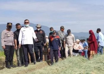 Bupati Solok Epyardi Asda Apresiasi Petani Manfaatkan Lahan untuk Tanam Bawang Merah