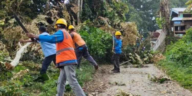 PLN ULP Solok Gotong-Royong Bersihkan Jaringan Listrik