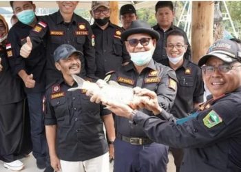 Bupati Solok Epyardi Asda Lepas Ikan Tawes di Danau Singkarak