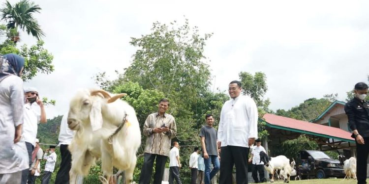 Berseri di Nagari Barulak, Usai Dialog Wabup Tanah Datar Lakukan Tinjauan Lapangan