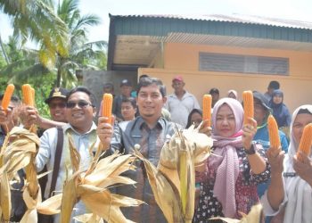 Pemko Sawahlunto Dukung Petani Jagung