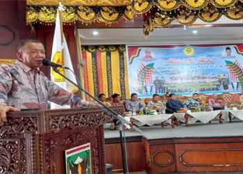 Bupati Pesisir Selatan Rusma Yul Anwar  Hadiri Halal Bihalal PKPS di Sijunjung