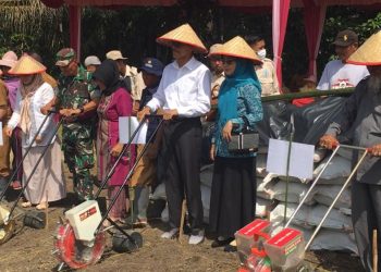 Tanam Perdana Jagung Bersama Bupati Safaruddin, Durian Tinggi Siapkan 1.000 Ha