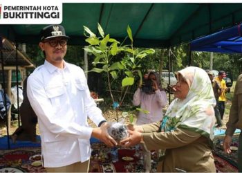 20.000 Bibit Jambu Madu Diserahkan, Wako Erman Syafar : Tingkatkan Ekonomi Masyarakat Pertanian